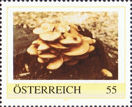 Briefmarke