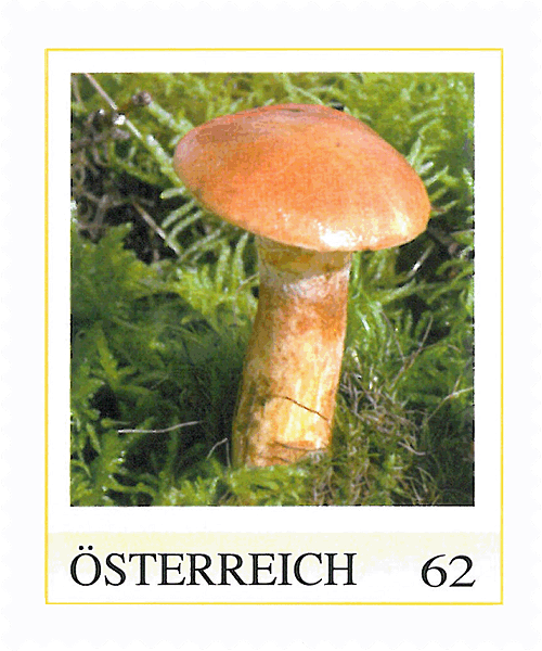 Briefmarke