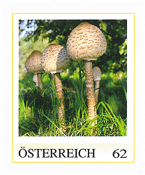 Briefmarke