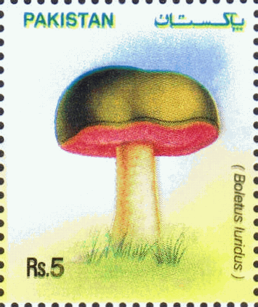 Briefmarke