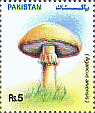 Briefmarke