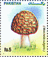 Briefmarke