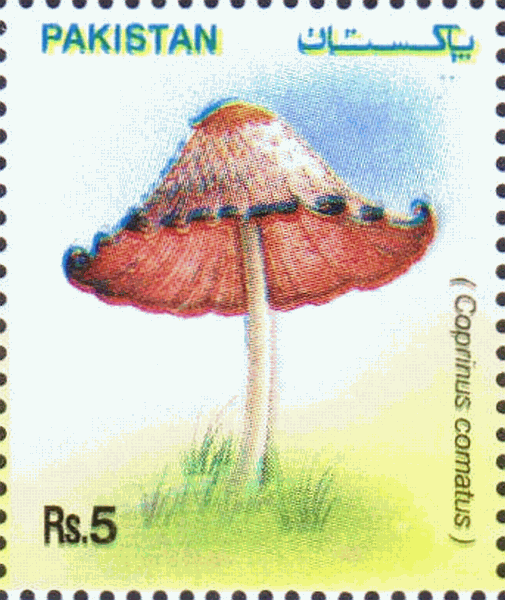 Briefmarke