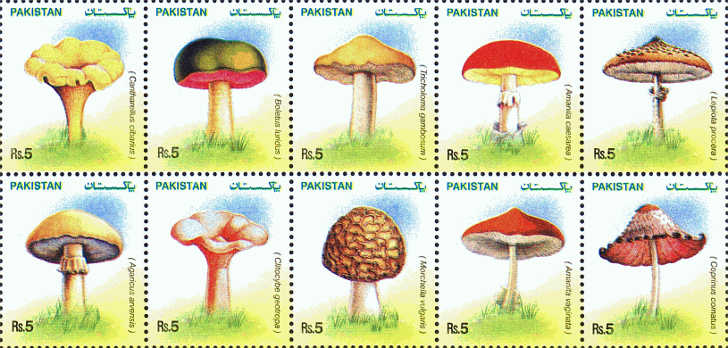 Zusammendruck
