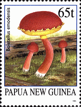 Briefmarke