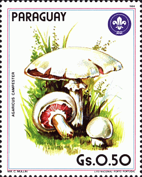 Briefmarke