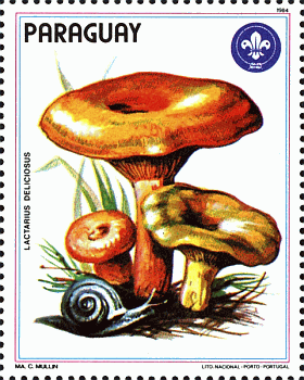 Briefmarke