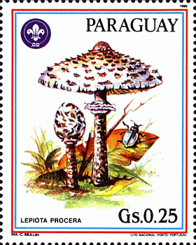 Briefmarke