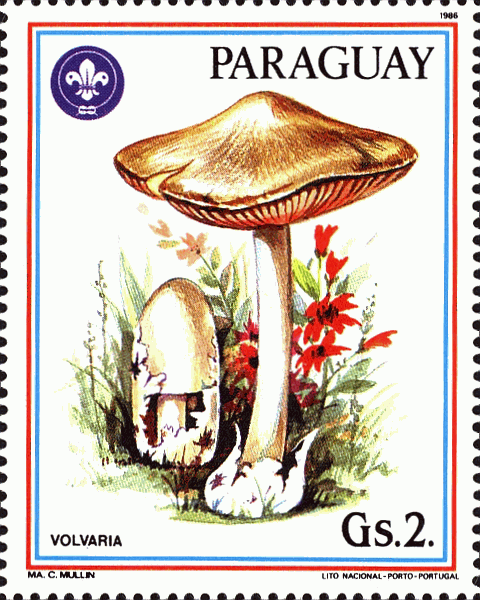 Briefmarke