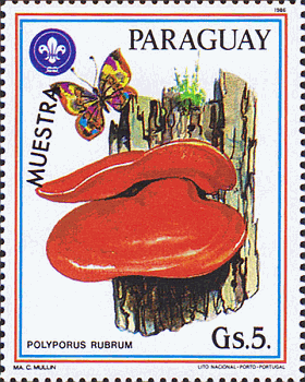 Briefmarke
