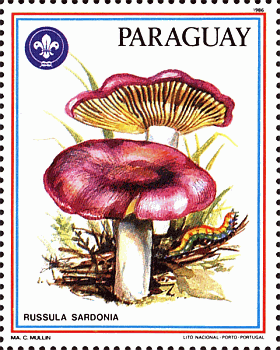 Briefmarke