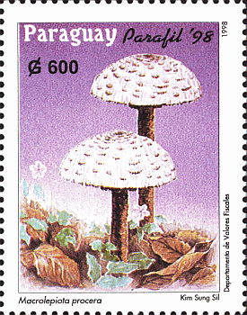 Briefmarke