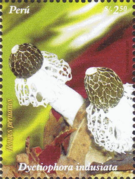 Briefmarke