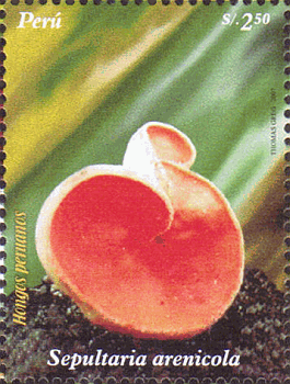 Briefmarke