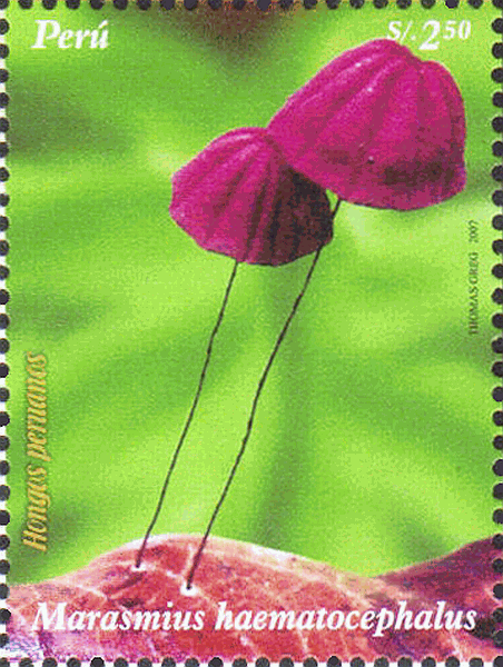 Briefmarke