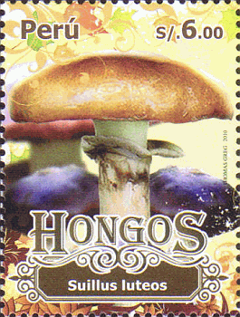 Briefmarke