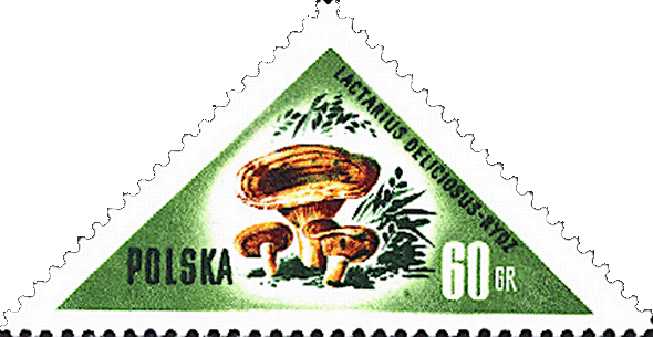 Briefmarke