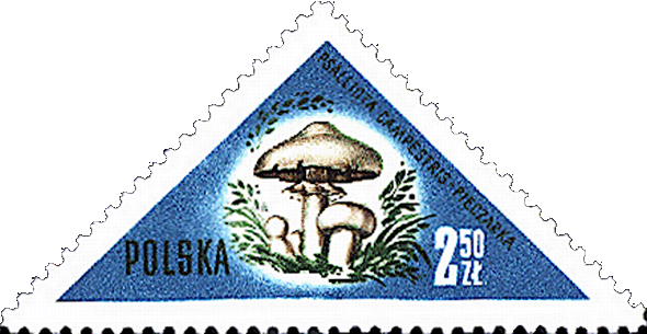Briefmarke