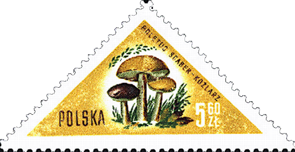 Briefmarke