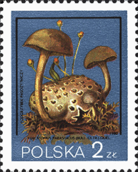 Briefmarke
