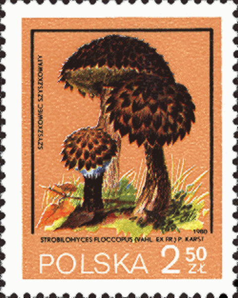 Briefmarke