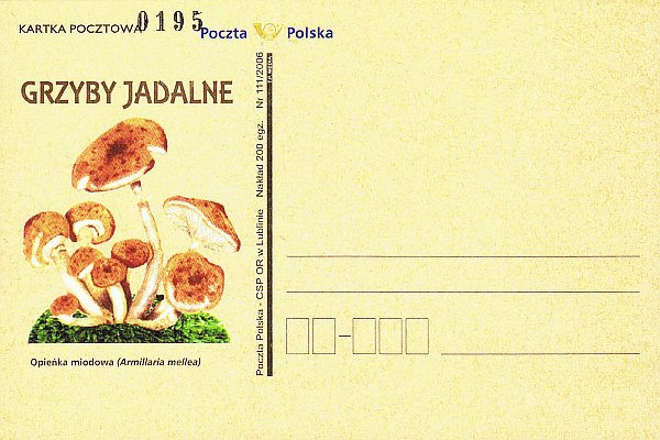 Sonderpostkarte
