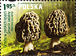 Briefmarke