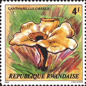 Briefmarke