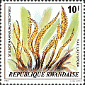 Briefmarke