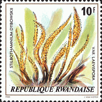 Briefmarke