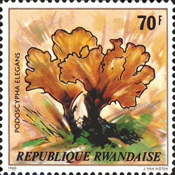 Briefmarke