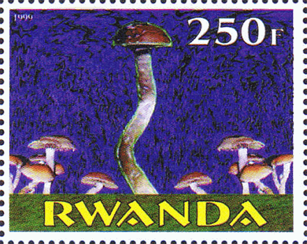 Briefmarke