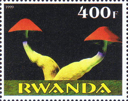Briefmarke