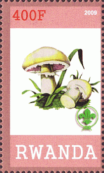 Briefmarke