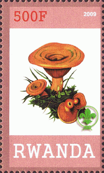 Briefmarke
