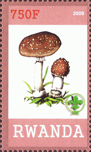 Briefmarke