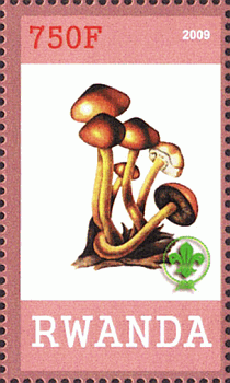 Briefmarke