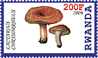 Briefmarke