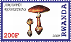 Briefmarke