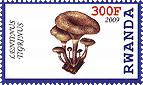 Briefmarke