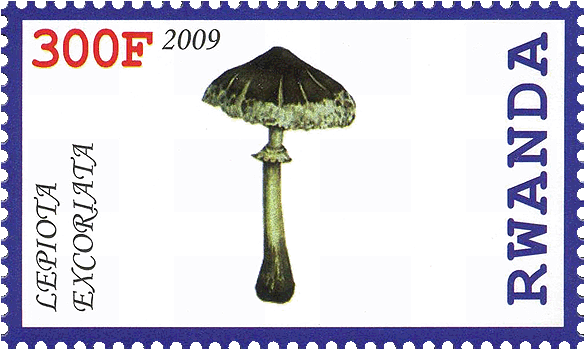 Briefmarke