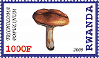 Briefmarke