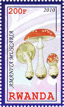 Briefmarke