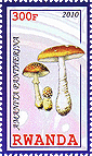 Briefmarke