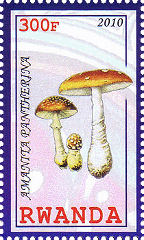 Briefmarke