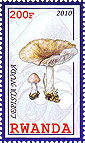Briefmarke