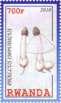 Briefmarke