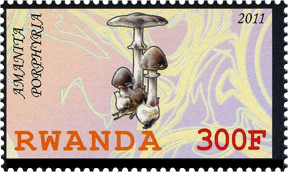 Briefmarke