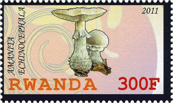 Briefmarke