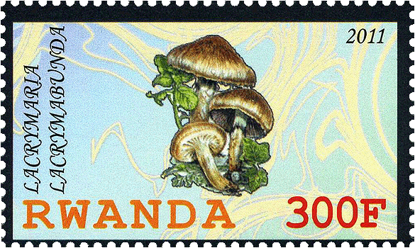 Briefmarke